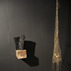 Sumptous Destitution and Net of Desire