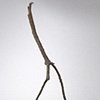 Walking Man