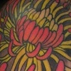 Tracy's Arm