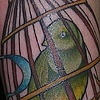 LT's birdie