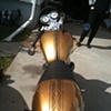 Beatrice's new paint!! done spring 