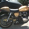 Beatrice's new paint!! done spring