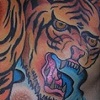 Aaron's chest tiger