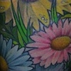 Lindsay's Leg