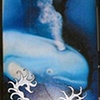 Beluga Skate