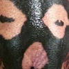 misfit knee