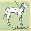 "Dalmation Card"