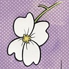 "Blossom"