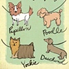 "For the Dog Fancier"