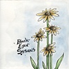"Black-Eyed Susans"