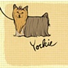 "Yorkie Notecard"