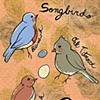 "Birdwatching Postcard"