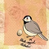 "Bird Postcard - Black-Capped Chickadee"