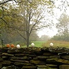 equinox