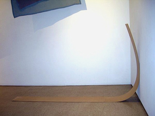 12487608 (masonite, wall)