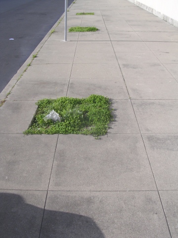 3407 (concrete, asphalt, earth, signpost)
3 invisible trees