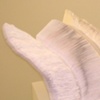 16222205 (envelopes, pedestal)