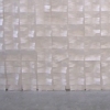 310818005 (paper, pushpins, wall)