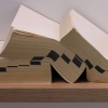 12124805 (5 volumes Books in Print, shelf, wall)