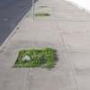 3407 (concrete, asphalt, earth, signpost)
3 invisible trees