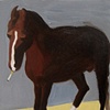 Pony Smoking