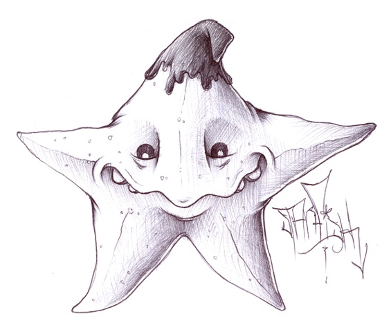 Chocolate Dipped Starfish