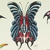 Butterfly Tattoo Flash