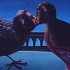 Luminous Birds Bathed in Love