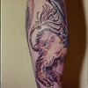 Griffin Leg Tattoo 