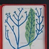 Family Tree Collection