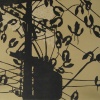 A Dream of Birds