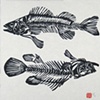 Things Left Behind: Fish