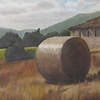 Hog Farm Outside of Corciano 