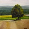 Un Albero #3