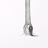 Have, Bare, Possess