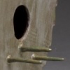 Shingled Birdhouse