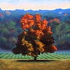 A Noble Tree