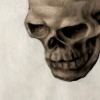 Fake Skull