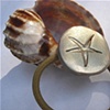 STARFISH in the Surf Ponytail Holder