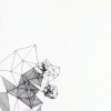 untitled [competition]
