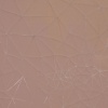 untitled [geometric origin of the skin]