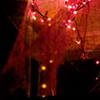 Halloween lights