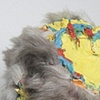 "Crazy Cat Lady Cake"