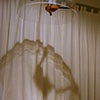 palimpsest (installation view)