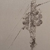 Untitled (Go)