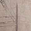 Untitled (Poles 1)