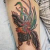 rooster2011