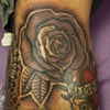 rose2011