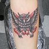 whipped owl