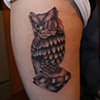 owl2011